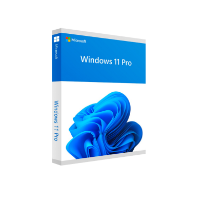 Microsoft Windows 11 Pro Professional