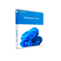 Microsoft Windows 11 Pro Professional