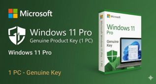 Windows 11 Pro