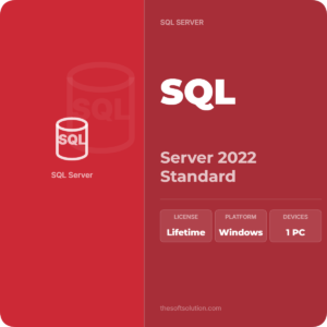 SQL Server 2022 Standard Retail Key 1 PC