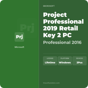 Project Professional 2019 Retail Key 2 PC