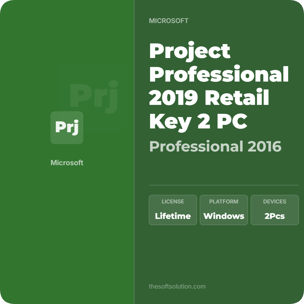 PROJECT PROFESSIONAL 2019 RETAIL KEY 2 PC 1 PROJECT PROFESSIONAL 2019 RETAIL KEY 2 PC