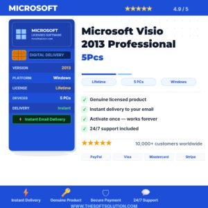 Buy Microsoft Visio 2013 Professional 5Pcs – Genuine License Key – TheSoftSolution