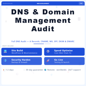 DNS & Domain Management Audit – Professional Digital Service | The Soft Solution