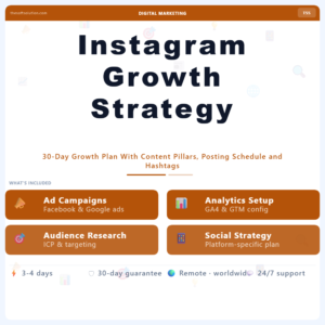 Instagram Growth Strategy Document – Professional Digital Service | The Soft Solution