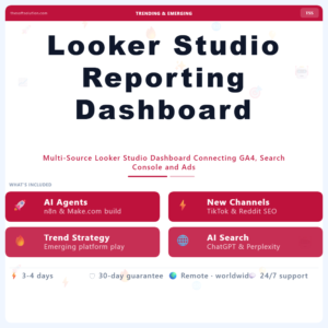 Looker Studio Reporting Dashboard – Professional Digital Service | The Soft Solution