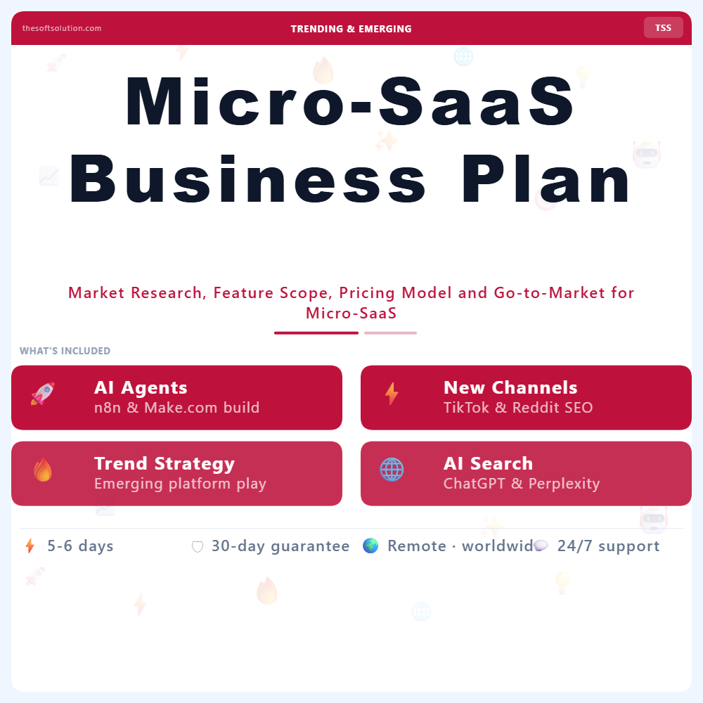 Micro-SaaS Business Plan – Professional Digital Service | The Soft Solution