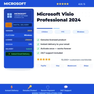 Buy Microsoft Visio Professional 2024 – Genuine License | The Soft Solution